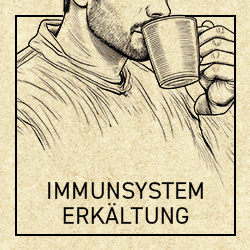 Immunsystem, Erkältung