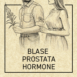 Blase, Prostata, Hormone