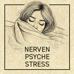 Nerven, Psyche, Stress