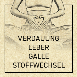 Verdauung, Leber-Galle, Stoffwechsel